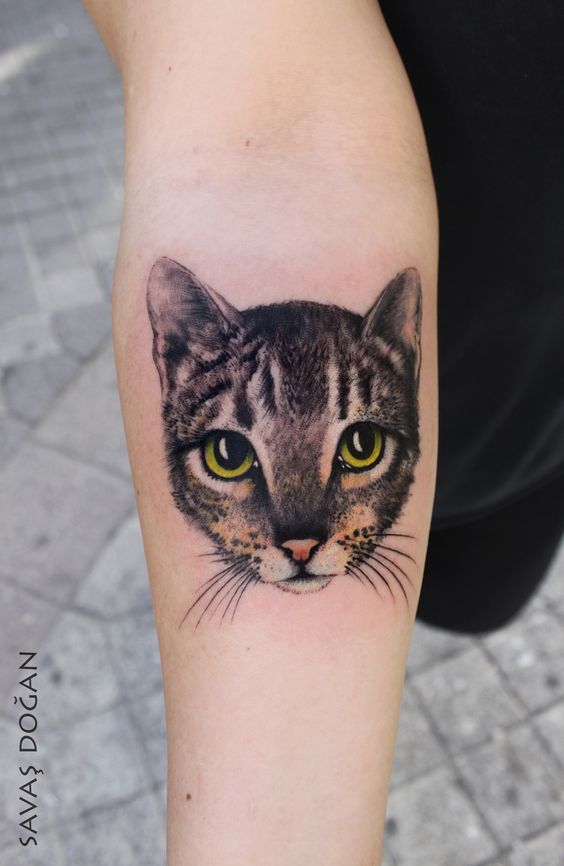 130 Katzentattoos, die einfach das Beste sind, was es je gab