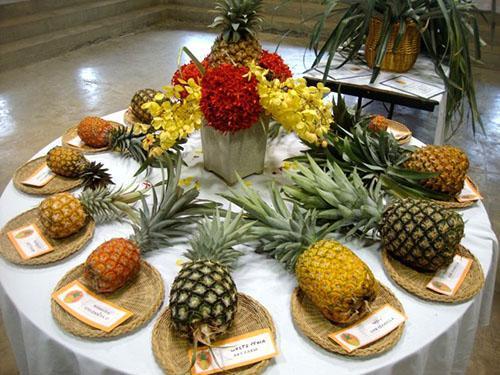 Ananas de différentes variétés