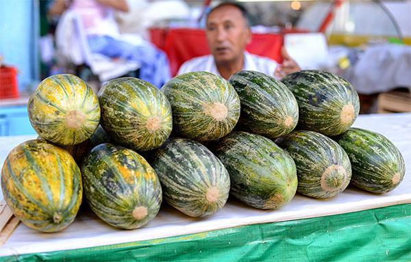 Melon Ich-kzyl Ouzbek 331