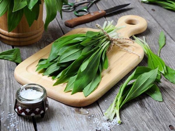 verdes tempranos de ajo silvestre