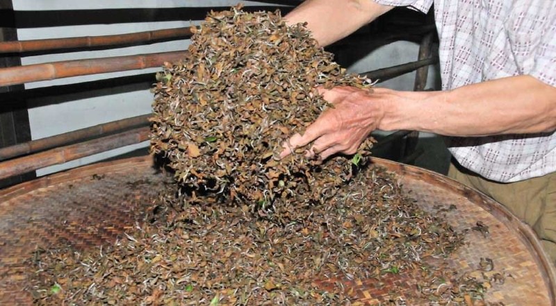 como se hace el té fermentado