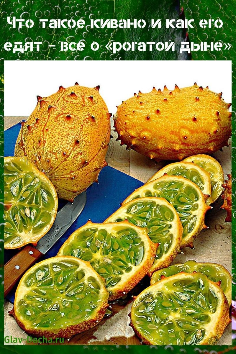 qu'est-ce que le kiwano et comment est-il mangé