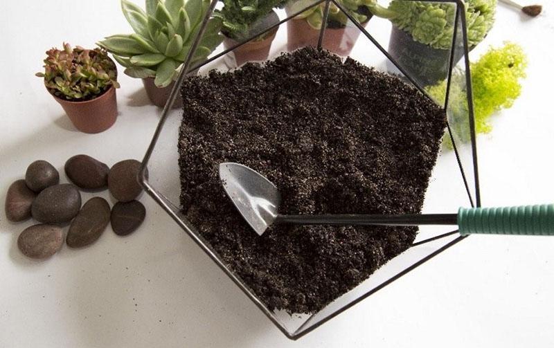 choix de courrier florarium à faire soi-même