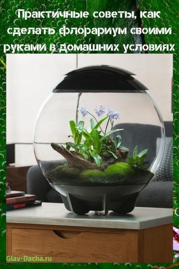 florarium à faire soi-même