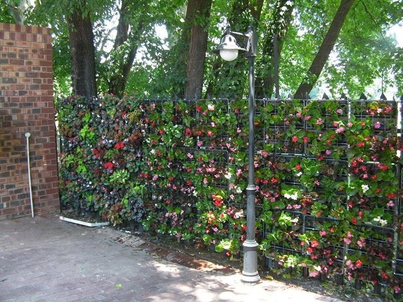 jardinage vertical avec différentes plantes