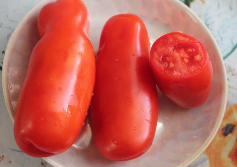 frutos de tomate casanova