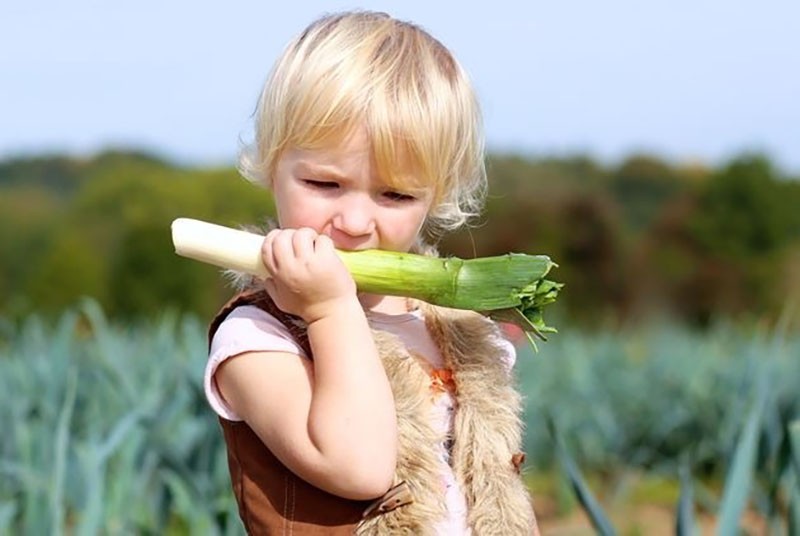 poireaux dans l'alimentation des enfants