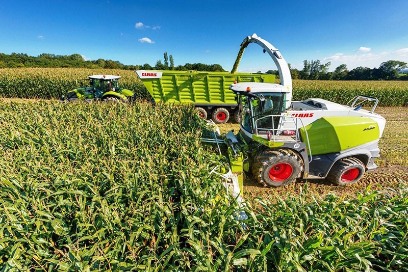 récolte du maïs pour l'ensilage