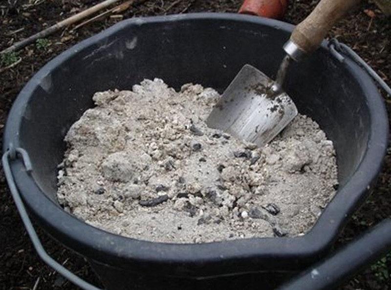 ceniza para el control de ratones de agua