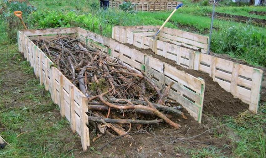 ramas para un jardín cálido