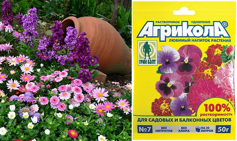 agricultura para plantas con flores en el jardín