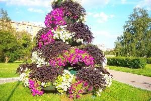 Photo de parterre de fleurs à plusieurs niveaux