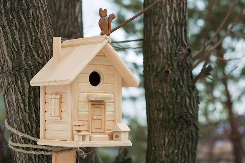 faites-le vous-même nichoir en bois