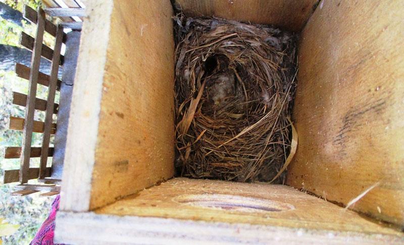 vérifier l'intégrité de la maison