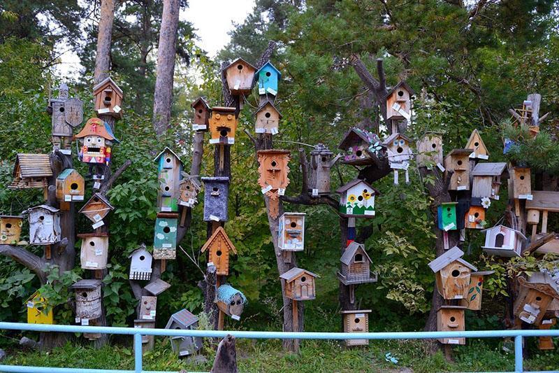 village des oiseaux