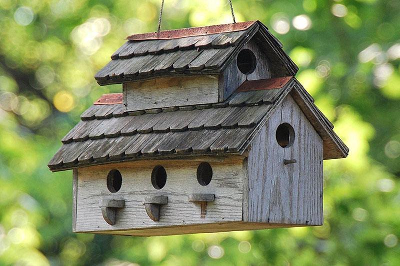 Boîte de nidification