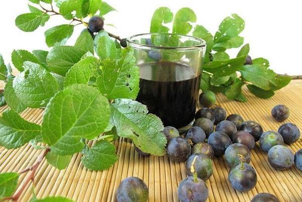 vin de prune selon la recette classique