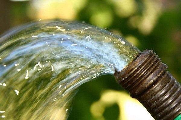 llena los agujeros con agua