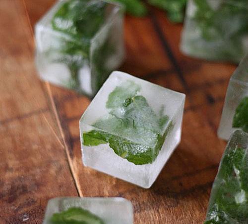 Menthe congelée en cubes portionnés