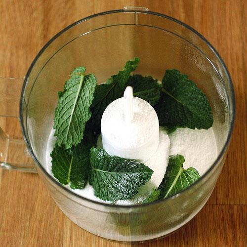 Récolte de menthe avec du sucre