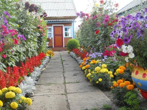 que flores plantar en el campo