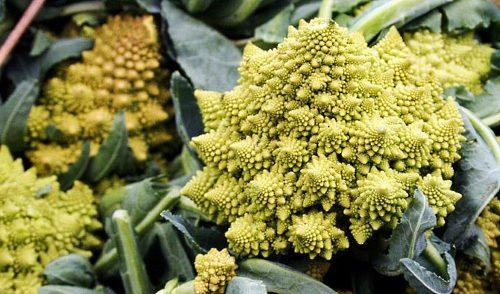 Romanesco en la foto