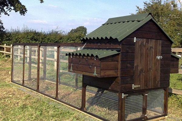 Poulailler en bois avec promenade pour poules