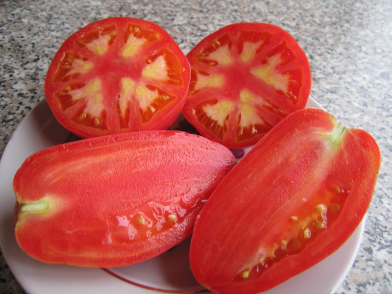 jardinero de perejil de fruta de tomate