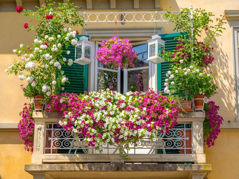 choix de couleurs pour le balcon côté soleil