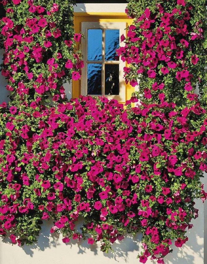 décoration balcon côté ensoleillé