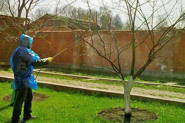 trabajamos en equipos de protección personal