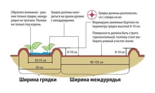 diagrama de cama de jardín