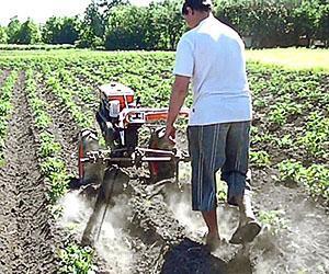 Hilling avec un tracteur à conducteur marchant