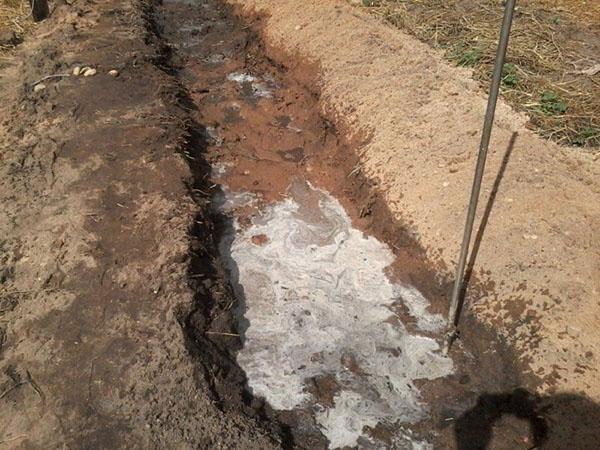 llena la zanja con agua