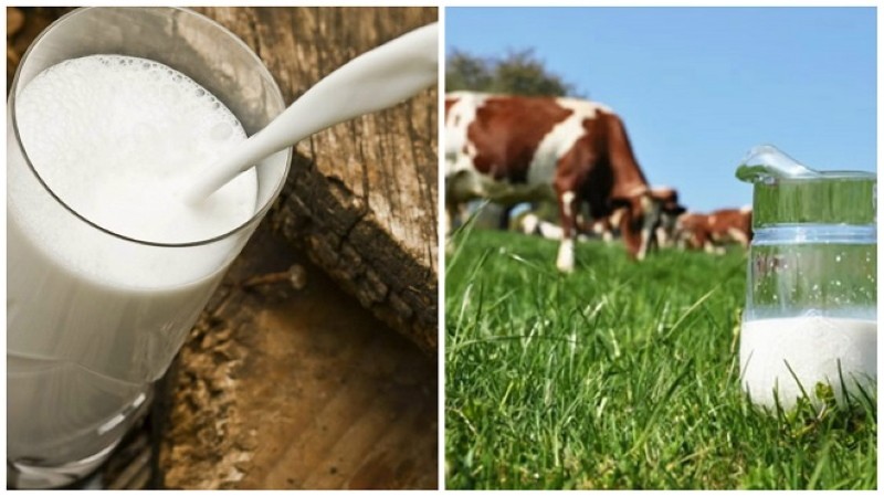 ¿Cuándo se puede beber leche después del parto?