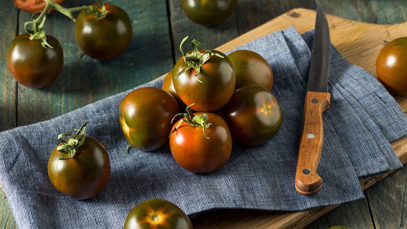 rendimiento de tomate