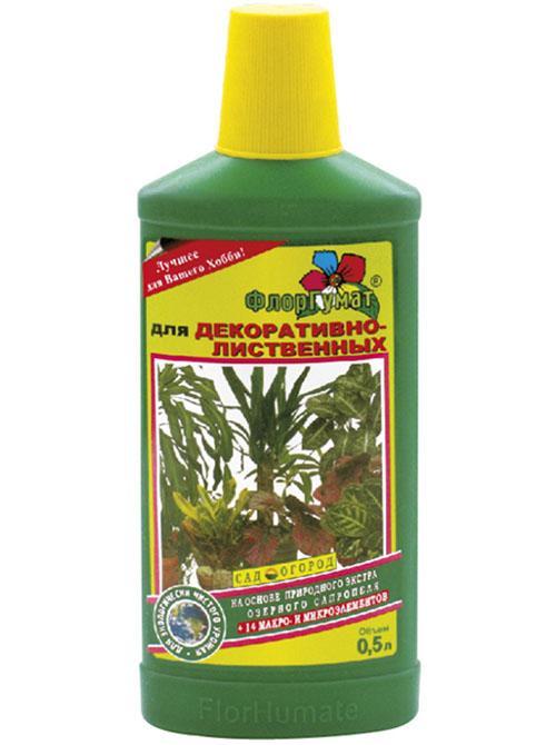 fertilizante para plantas ornamentales