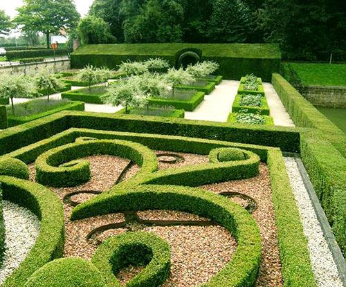 Formes de jardin de buis