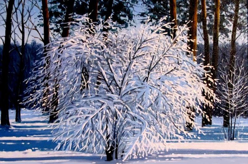 scumpia dans la neige