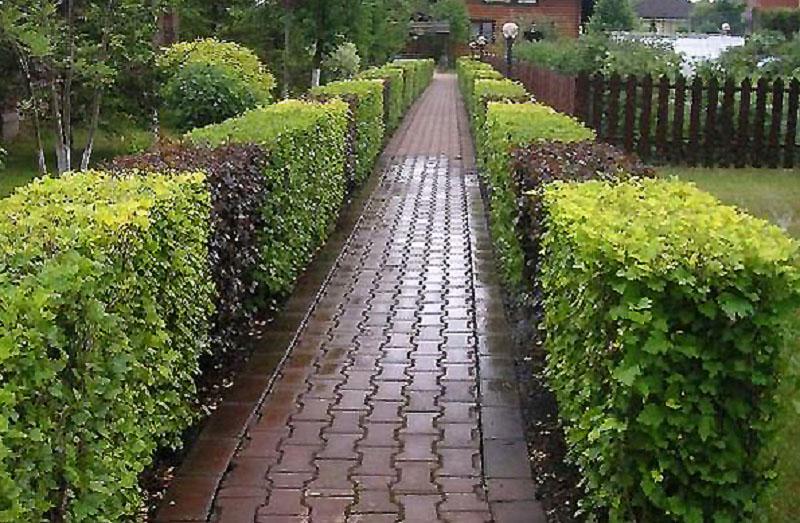 décoration allée de jardin