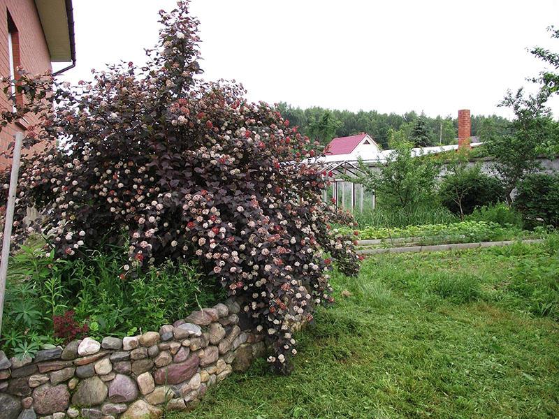 décoration de jardin