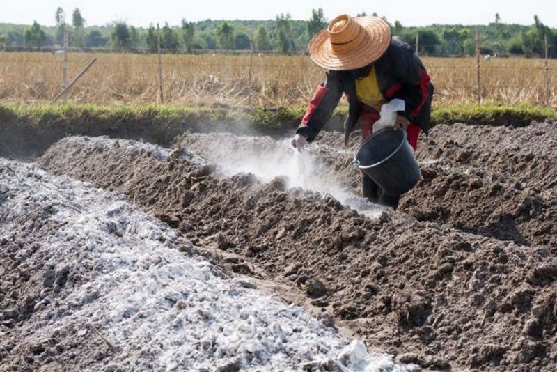 proceso de desoxidación del suelo