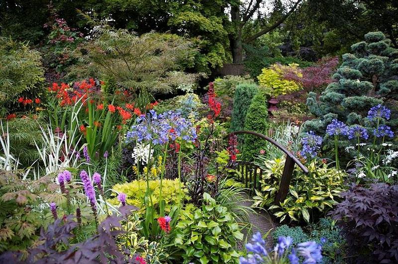 pont dans le jardin