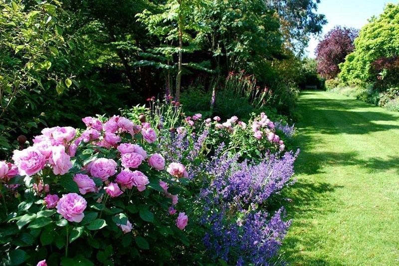 caractéristiques du jardin anglais