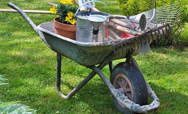 brouette de jardin au travail