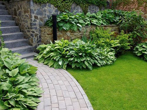 utilizamos un mínimo de variedades de plantas