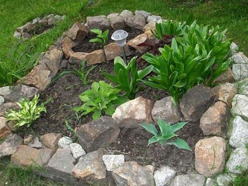 Cama de flores de piedra salvaje