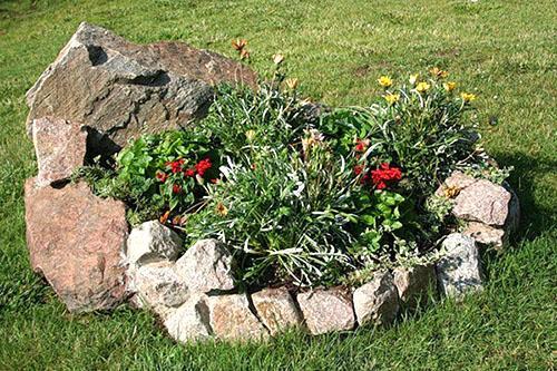 mini-jardín en la parcela