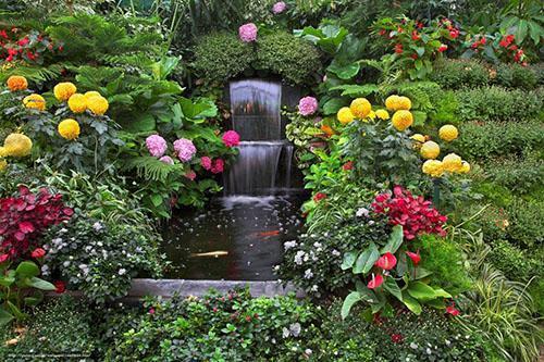 hermoso jardín en el patio trasero