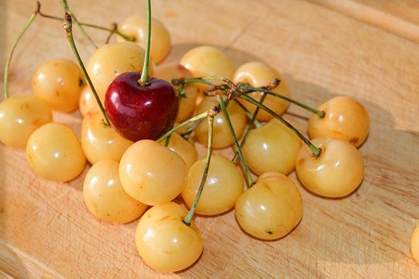 cerises pour le diabète de type 2